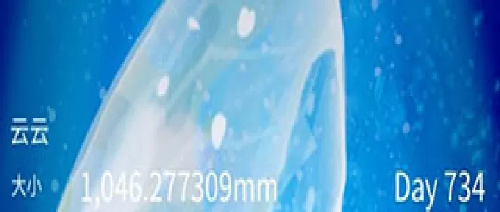养育水母的治愈游戏_https://m.romzhushou.com_休闲益智_第1张
