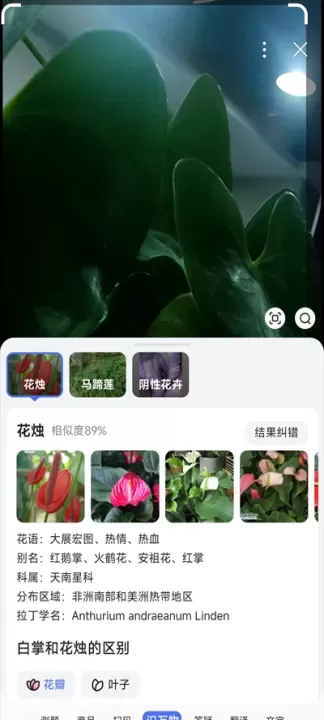 百度搜索App_https://m.romzhushou.com_系统工具_第2张