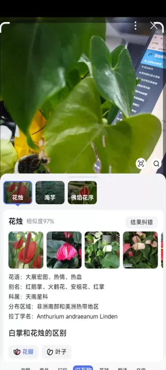 百度搜索App_https://m.romzhushou.com_系统工具_第5张