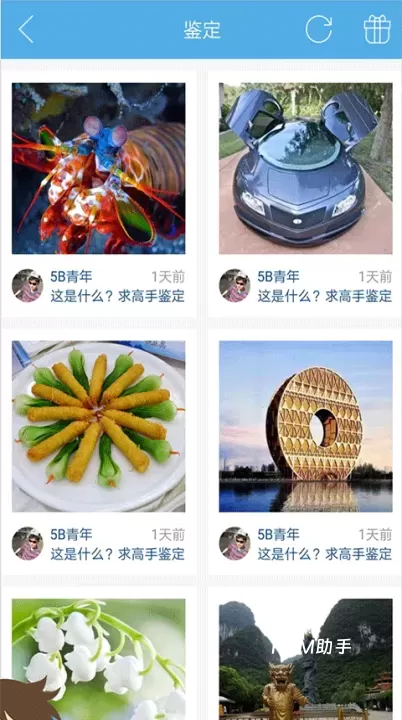 慧眼识图_https://m.romzhushou.com_手机美化_第3张