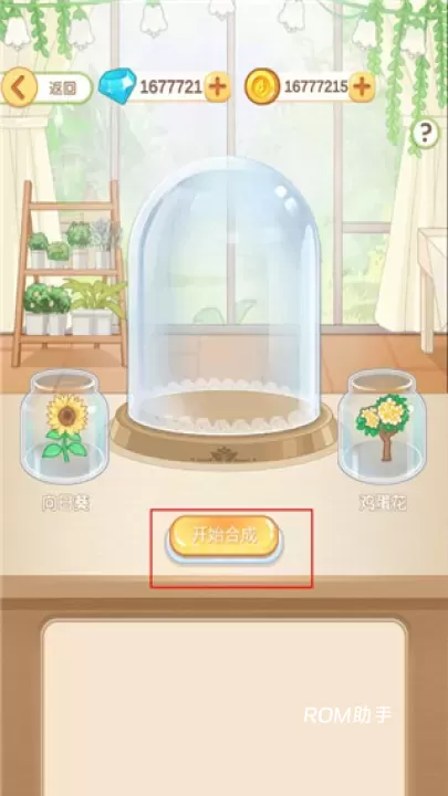 茜茜公主的魔法花园_https://m.romzhushou.com_休闲益智_第9张