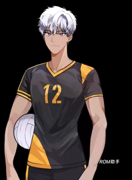 排球故事_https://m.romzhushou.com_体育竞技_第8张